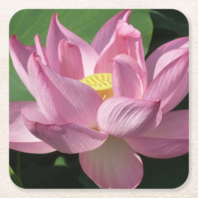 Rosa Lotus Blume IV Rechteckiger Pappuntersetzer (Vorderseite)