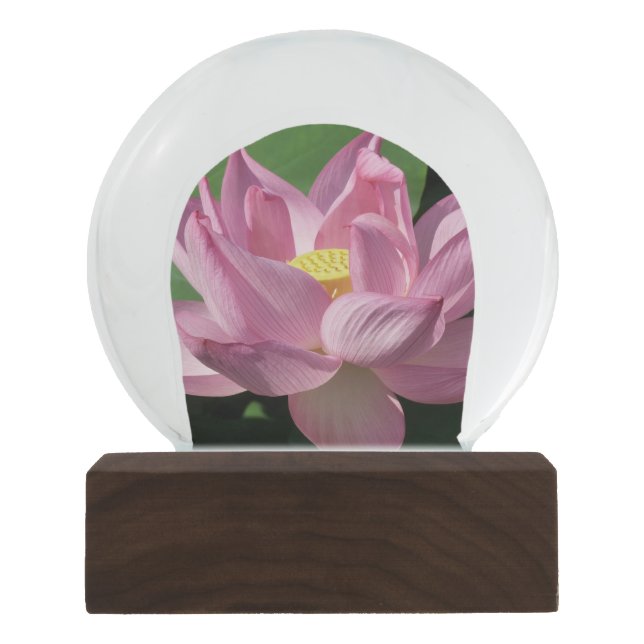 Rosa Lotus Blume IV Schneekugel (Vorderseite)