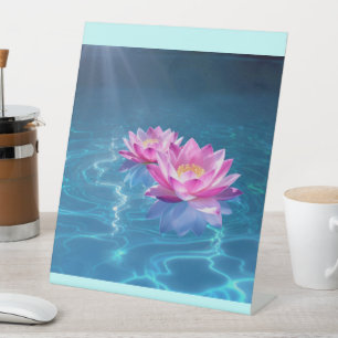 Rosa Lotus-Blume schweben auf Kristallblau Sockelschild