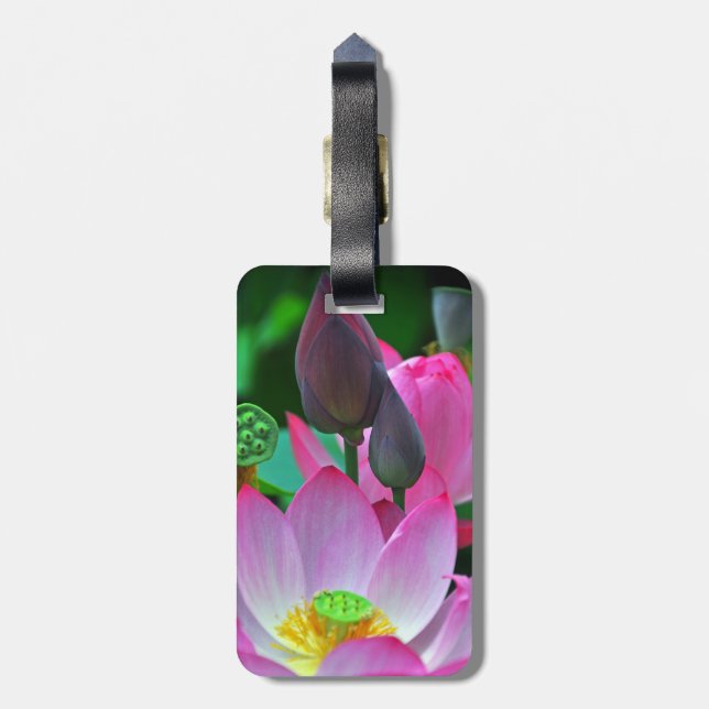 Rosa Lotus-Blüten Gepäckanhänger (Rückseite vertikal)