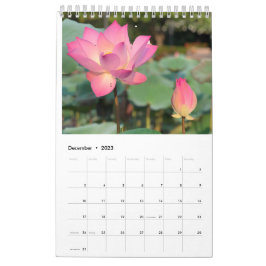 Rosa Lotus Calendar Kalender
