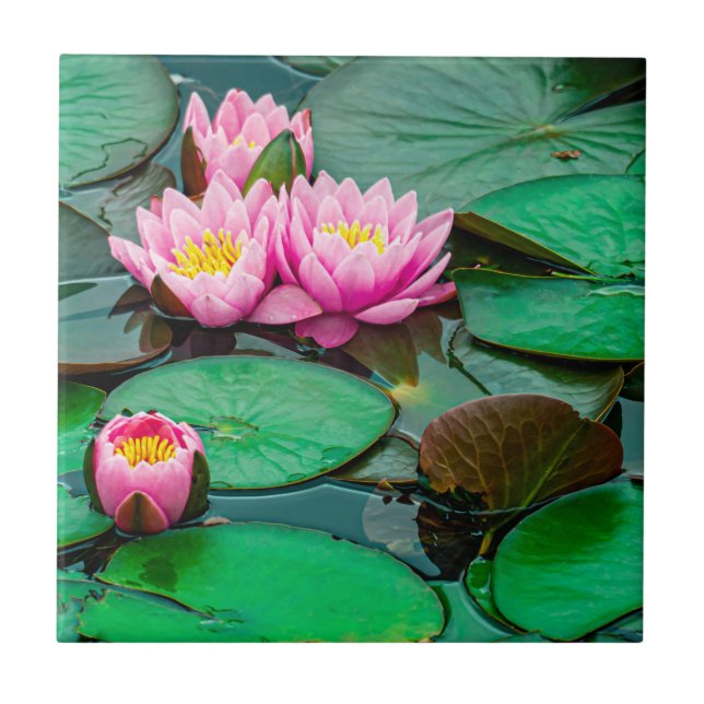 Rosa Lotus Fliese (Vorderseite)