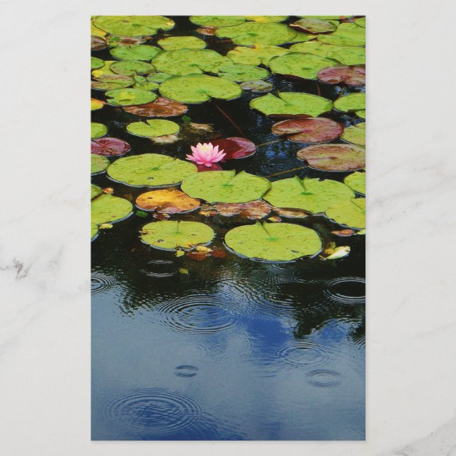 Rosa Lotus in Regen (Vorderseite)