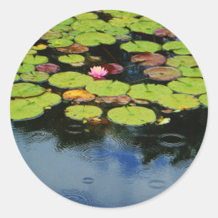 Rosa Lotus in Regen Runder Aufkleber