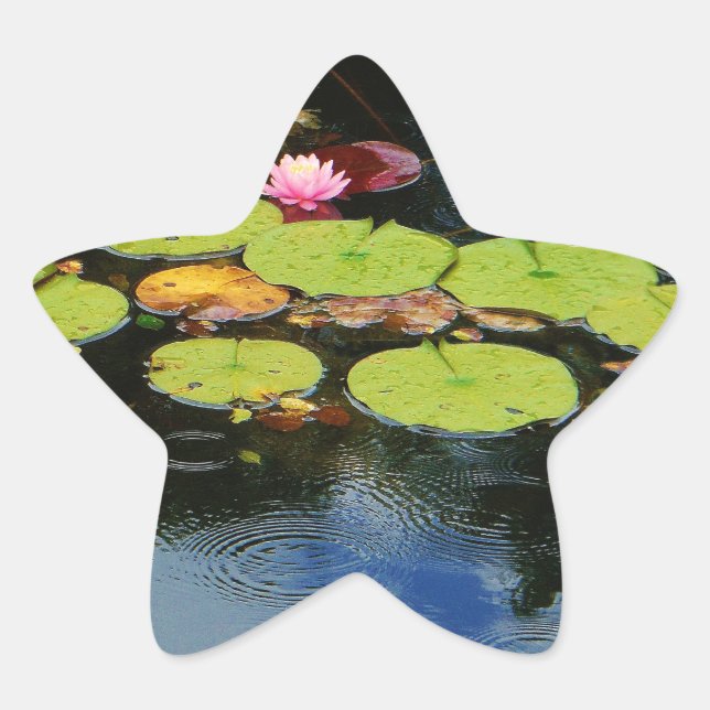 Rosa Lotus in Regen Stern-Aufkleber (Vorderseite)