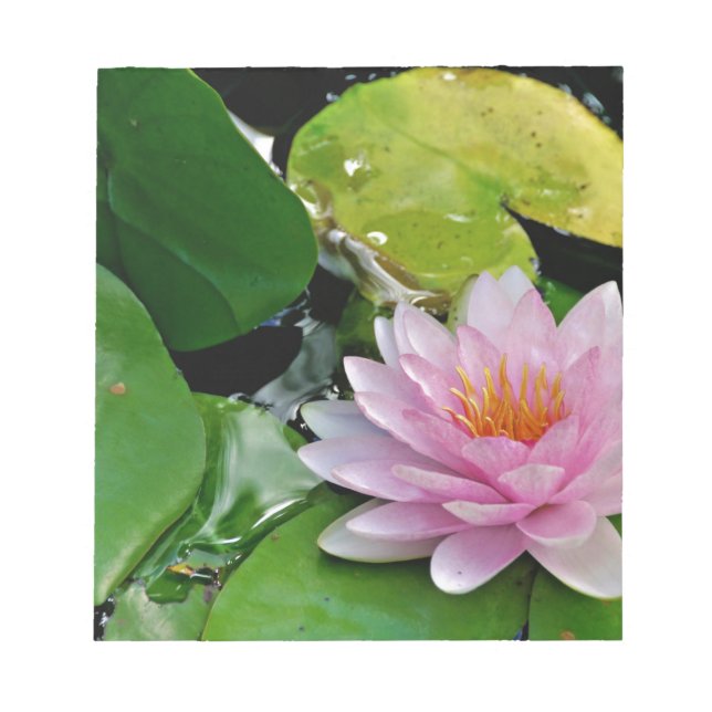 Rosa Lotus Notizblock (Vorderseite)