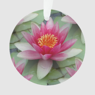 Rosa Lotus Ornament