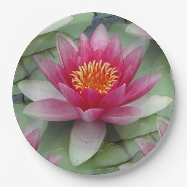 Rosa Lotus Pappteller (Vorderseite)