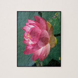 Rosa Lotus - Puzzle