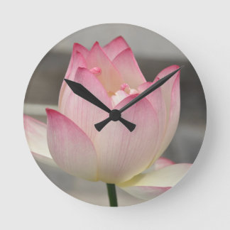 Rosa Lotus Runde Wanduhr