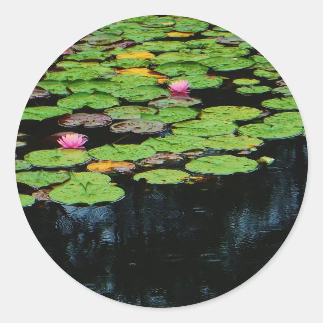 Rosa Lotus schwarz Runder Aufkleber (Vorderseite)