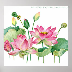 Rosa Lotus Wasserfarbengrenze Poster