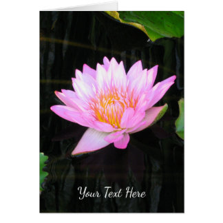 Rosa Lotus-Wasserlilie