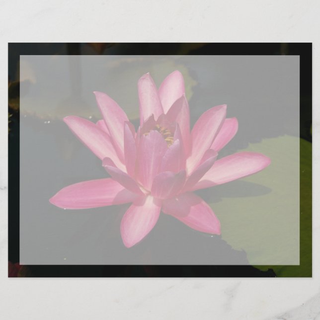 Rosa Lotus Wasserlilie Blume (Vorderseite)