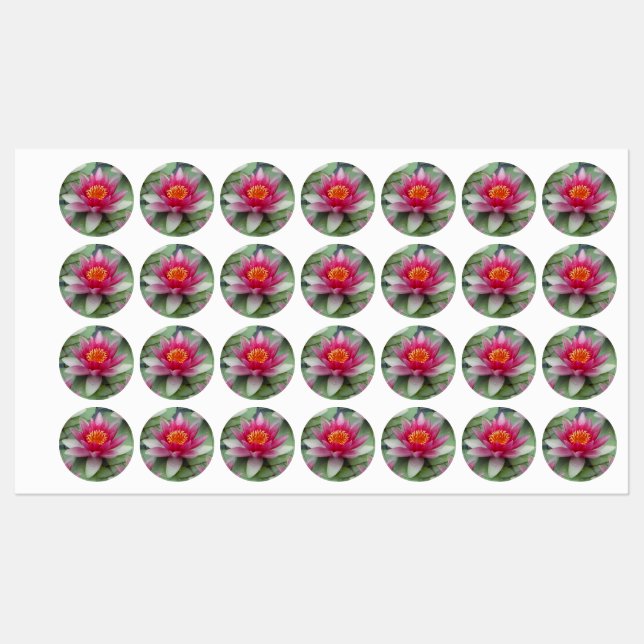 Rosa Lotus Wasserlilie Etiketten (Blatt)