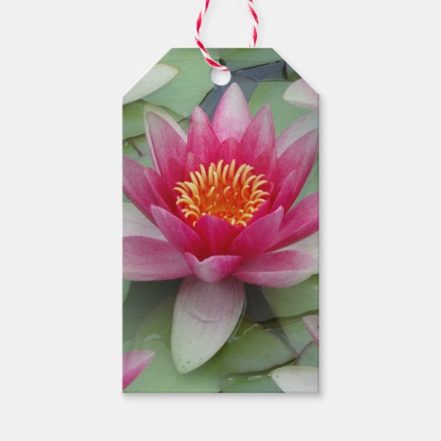 Rosa Lotus Wasserlilie Geschenkanhänger (Vorderseite)