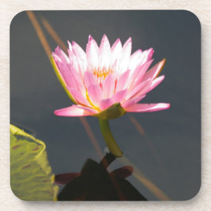 Rosa Lotus-Wasserlilie Getränkeuntersetzer