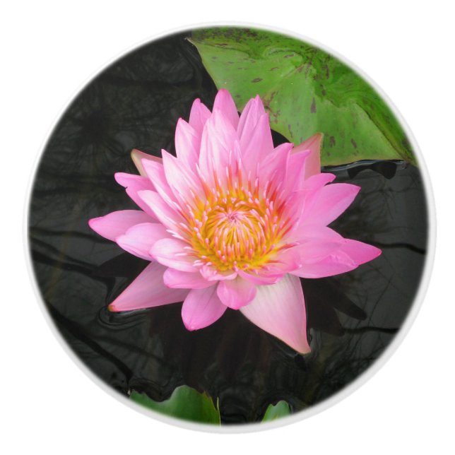 Rosa Lotus-Wasserlilie-Keramik Keramikknauf (Vorderseite)