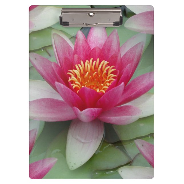 Rosa Lotus Wasserlilie Klemmbrett (Vorderseite)