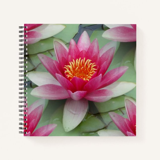 Rosa Lotus Wasserlilie Notizbuch (Vorderseite)