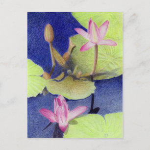 Rosa Lotus Wasserlilie Postkarte