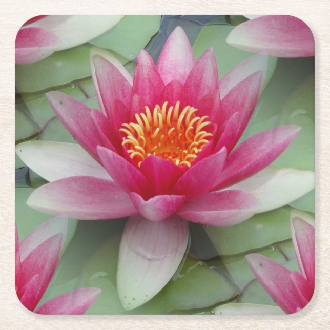 Rosa Lotus Wasserlilie Rechteckiger Pappuntersetzer (Vorderseite)