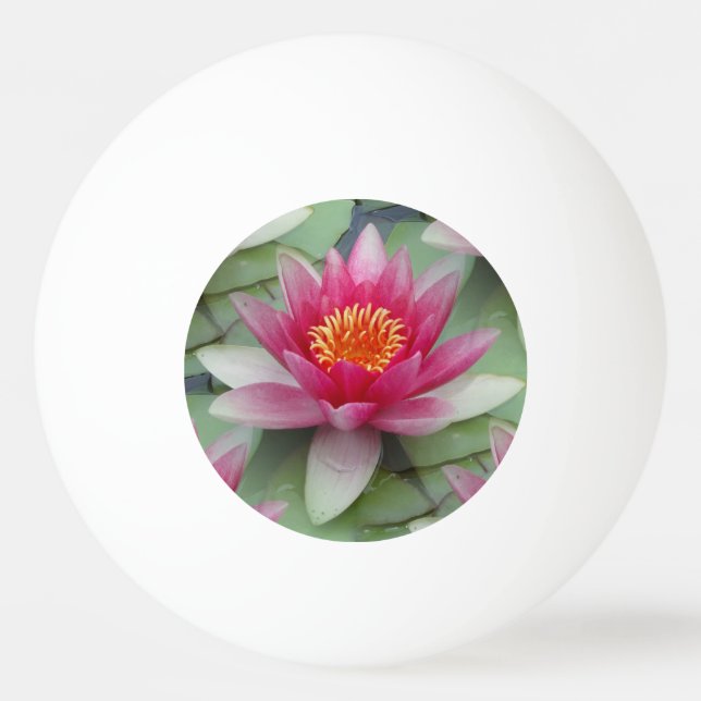 Rosa Lotus Wasserlilie Tischtennisball (Vorderseite)