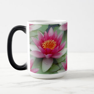 Rosa Lotus Wasserlilie Verwandlungstasse