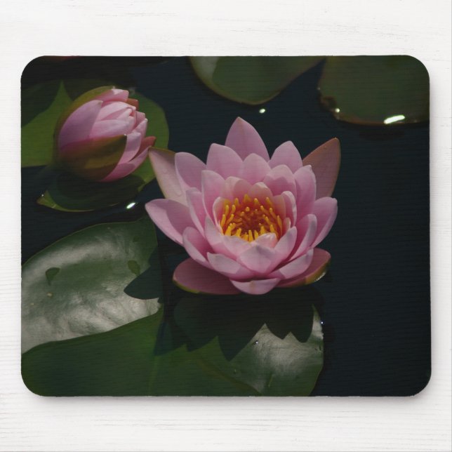 Rosa Lotus-Wasserlilien Maus-Pad Mousepad (Vorne)