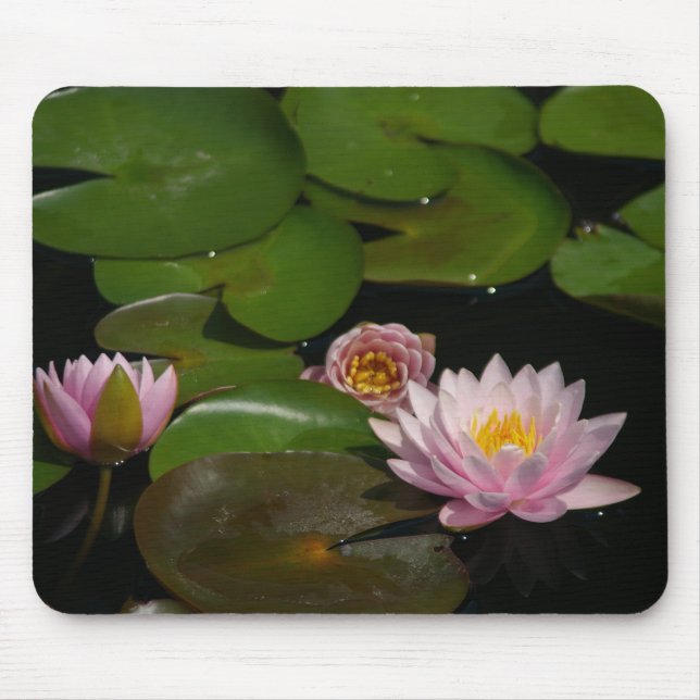 Rosa Lotus-Wasserlilien Maus-Pad Mousepad (Vorne)