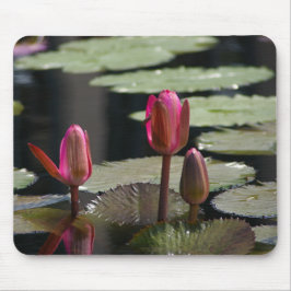Rosa Lotus-Wasserlilien Maus-Pad Mousepad