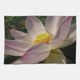 Rosa Lotusblume III Geschirrtuch