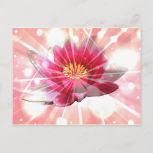 Rosa Lotusblüte Postkarte