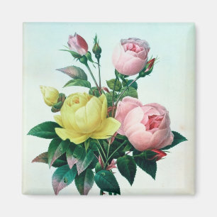 Rosa Lutea und Rosa Indica Magnet