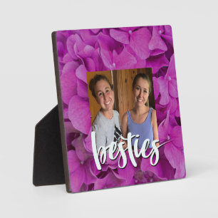 Rosa Magenta-Hydrangeas-Rose Fotoplatte