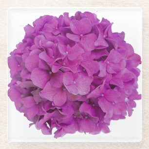 Rosa Magenta-Hydrangeas-Rose Glasuntersetzer
