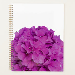 Rosa Magenta-Hydrangeas-Rose Planer