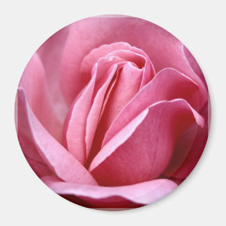 Rosa Magnet