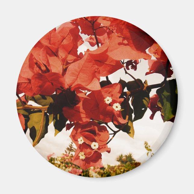 rosa magnet (Vorne)
