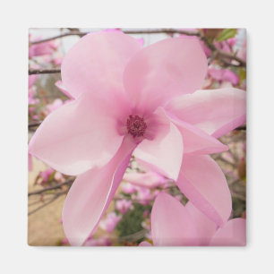 Rosa Magnolia Blume Square Magnet