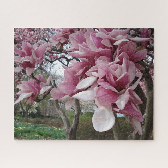 Rosa Magnolie (Horizontal)