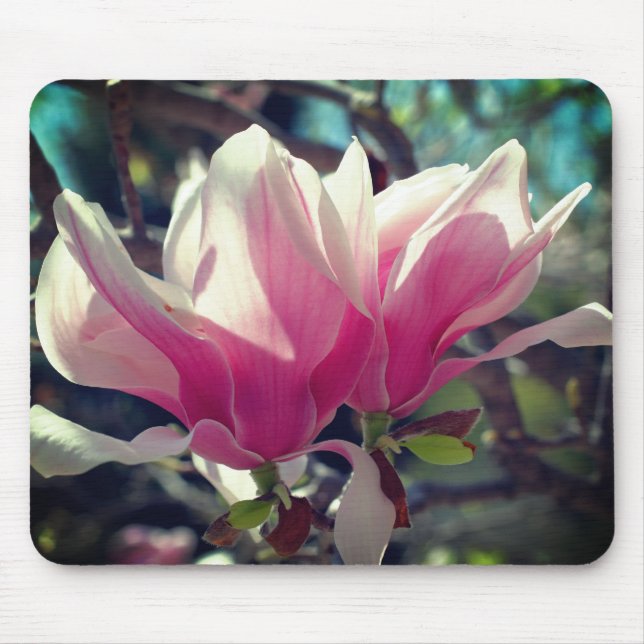 Rosa Magnolische Blume Blüten Mousepad (Vorne)