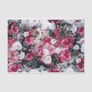 Rosa malvenfarbenes weißes Mit Blumenschwarzes der Seidenpapier