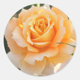 Rosa‘Manyo’（万葉） Runder Aufkleber