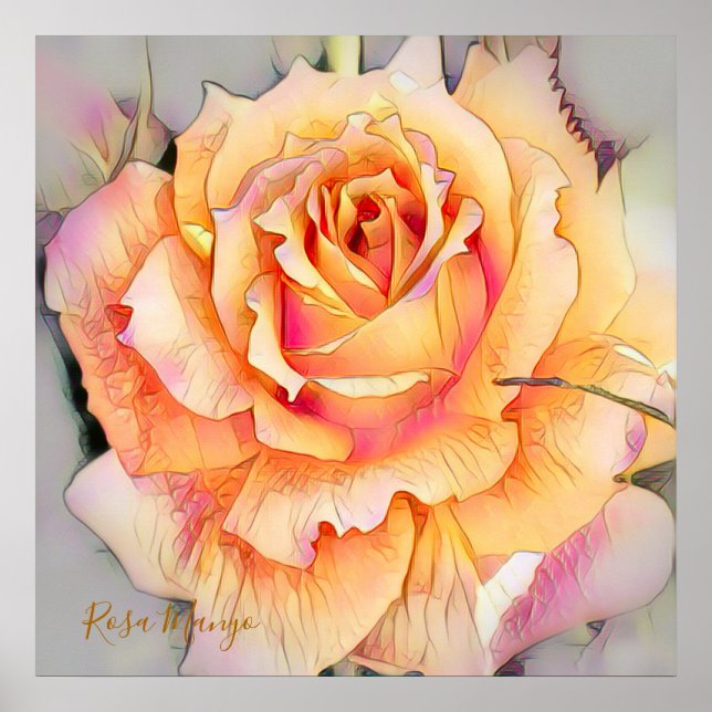 Rosa"Manyo" [Value Poster Paper] (Vorne)