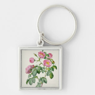 Rosa Mollissima, von 'Les Rosen Schlüsselanhänger