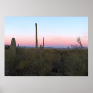 Rosa Mond über Saguaro bei Sonnenaufgang Poster