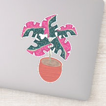 Rosa Monstera Pflanze Handgezeichnet