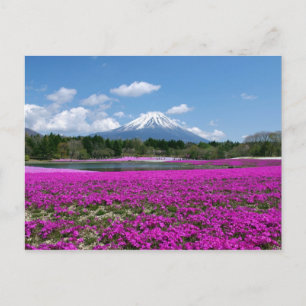 Rosa Moos und Fuji im Hintergrund Postkarte