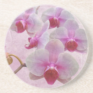 Rosa Moth Orchids - Phalaenopsis Sandstein Untersetzer